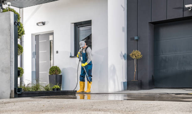 Best Rust Removal  in Lake Magdalene, FL